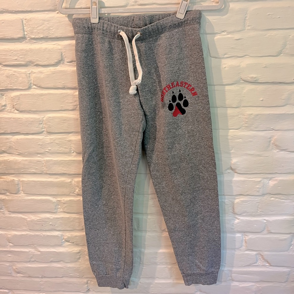 Cozy Northeastern Sweatpants